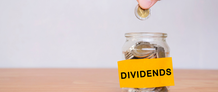 What is Dividend Payout Ratio?
